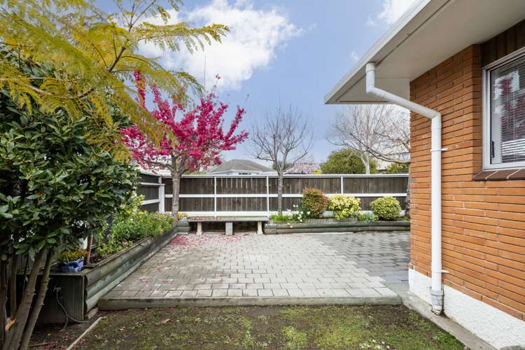 1/11 Mchardy Street Havelock North_13