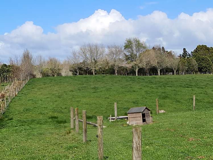 166h Postman Road Dairy Flat_6