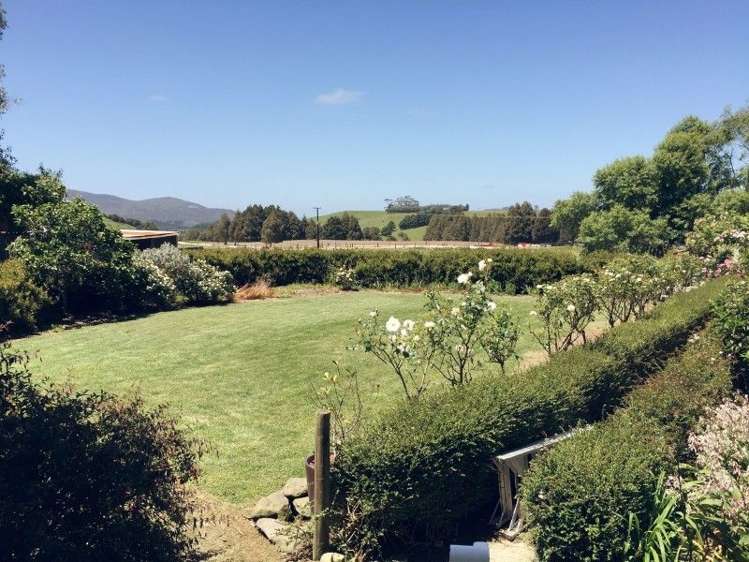 684 Trounson Park Road Dargaville Surrounds_19