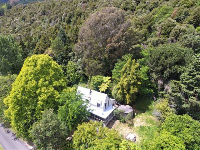 213 Packard Road Kahurangi National Park_3