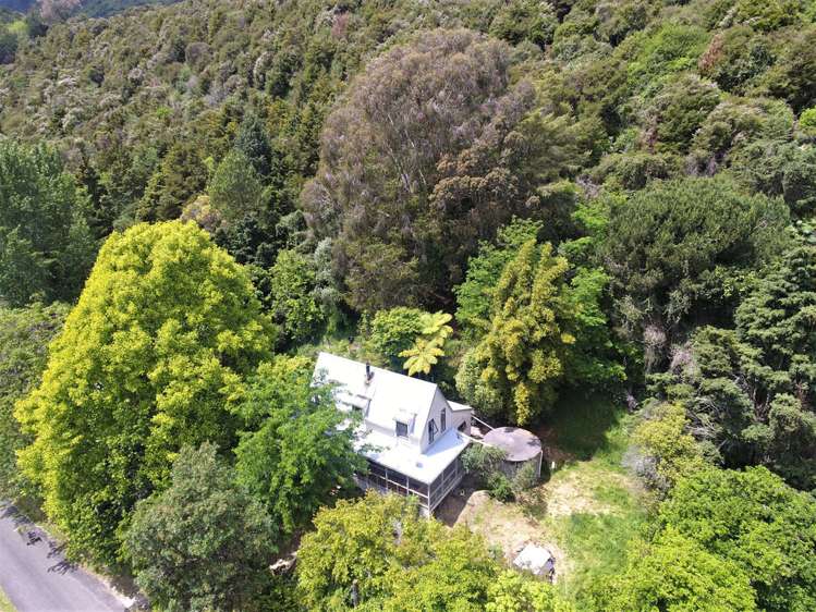 213 Packard Road Kahurangi National Park_3