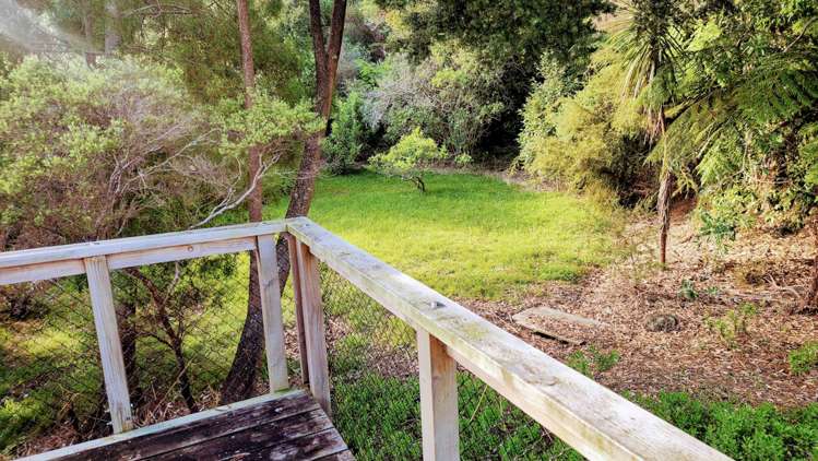 244B Big Bay Road Awhitu_19