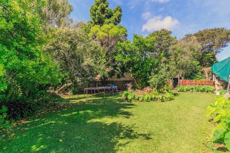 3a Tutuki Street Waterview_8