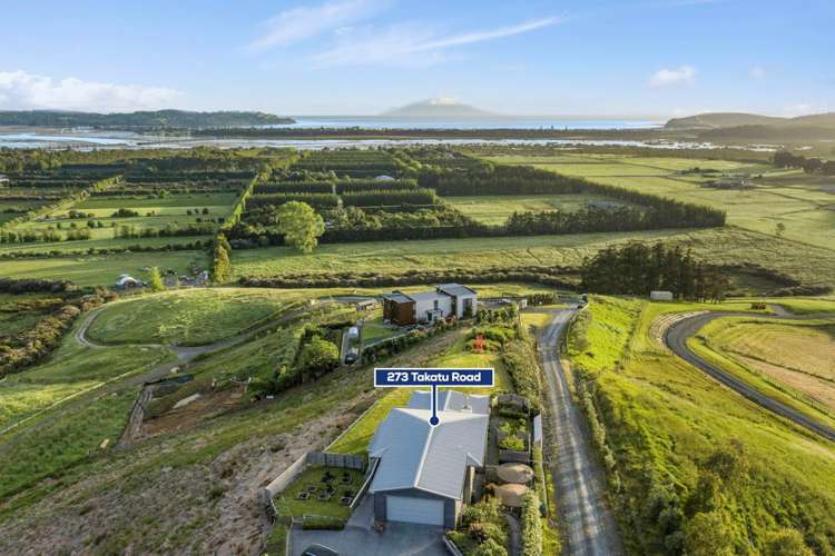 273 Takatu Road Tawharanui Peninsula_15