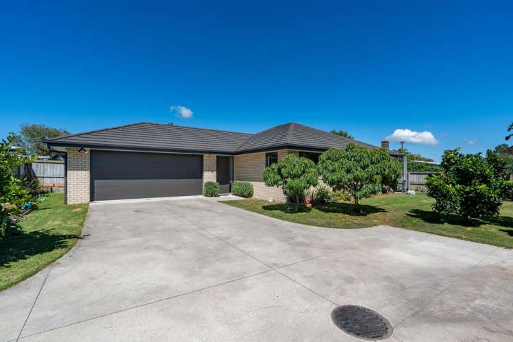 26A Walmsley Street Kihikihi_22