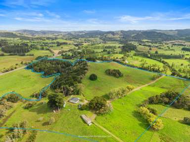 559 Old Kaipara Road_1