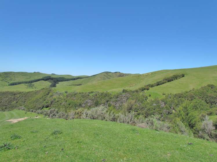 139 Clay Creek Road Ruakokoputuna_12