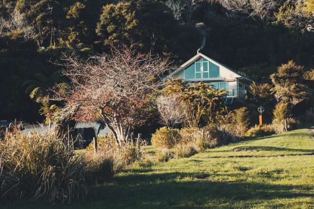 49 Awaroa Inlet Awaroa_2