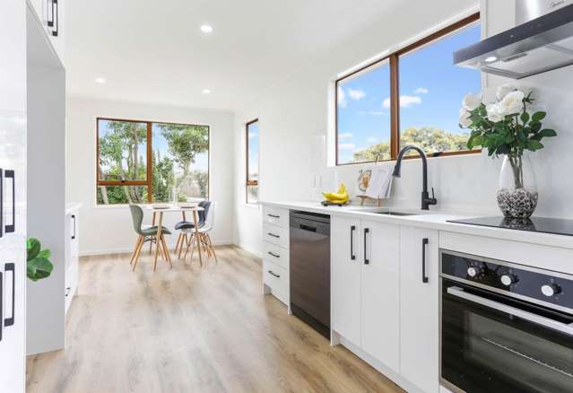 29 Catkin Crescent Papatoetoe_2