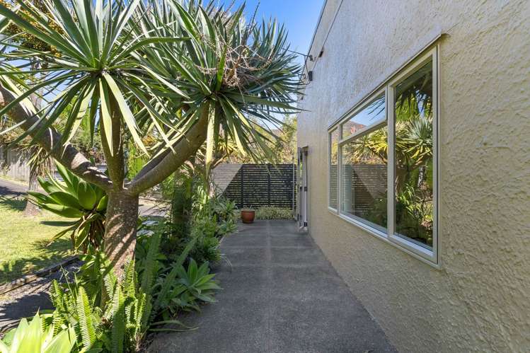 217 Blockhouse Bay Road Avondale_18