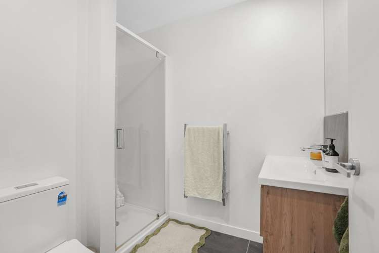 14 Te Ara O Te Amo Hohipene Petone_15