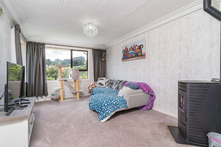 440 Pine Hill Road Pine Hill_9