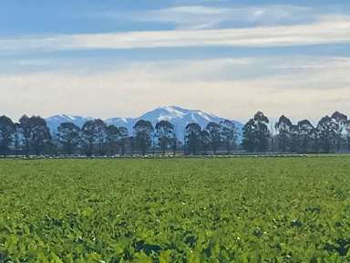 280 Tinwald Westerfield Mayfield Road_2