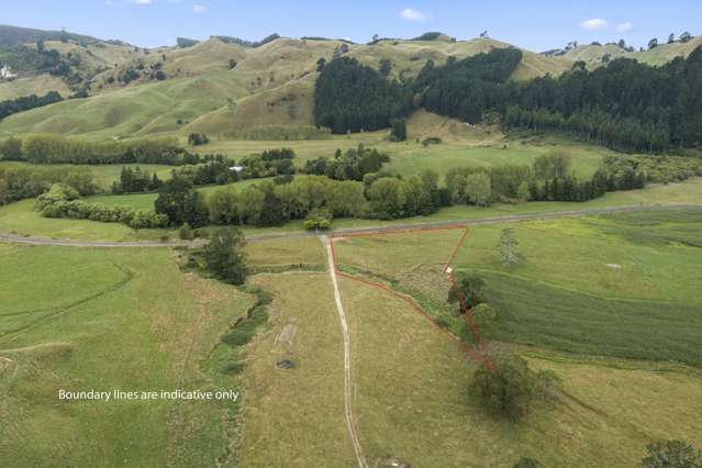 3/1272 Te Kopia Road Waikite Valley_1