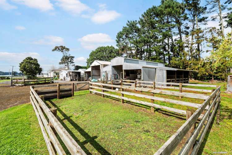 151 Gordon Road Pollok_16