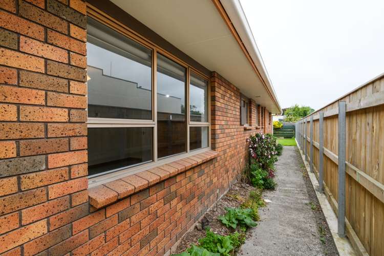 47a Haydon Street Roslyn_17