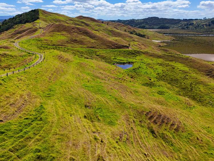 Brindle Road Opononi_10