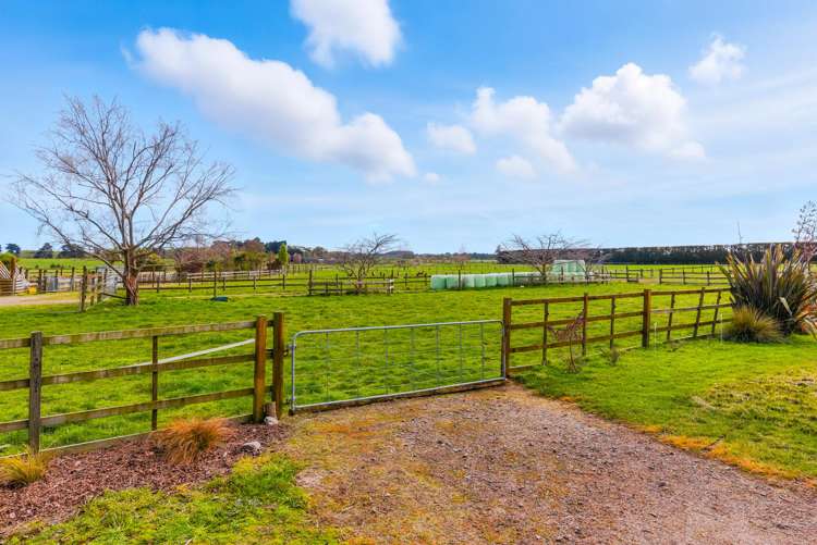 70 Joblins Road Levin_5