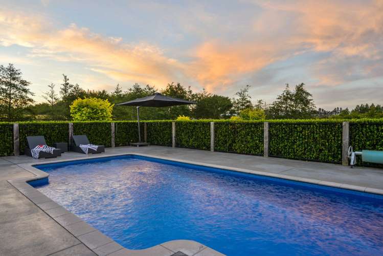 111 Green Road Dairy Flat_7