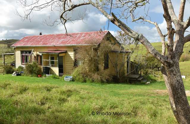 Do-up Lifestyle on Pahi Peninsula