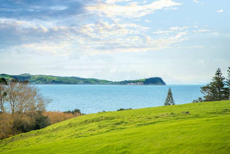 15 Bounty Road Long Bay_9