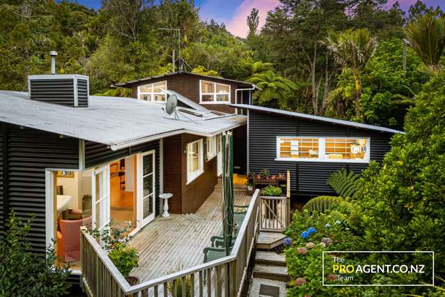 65 Waima Crescent Titirangi_4