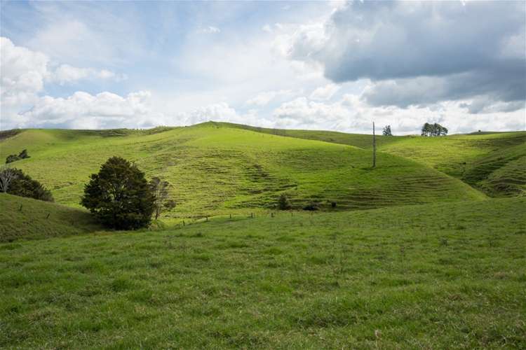 67 Fraser Road Kawakawa_12