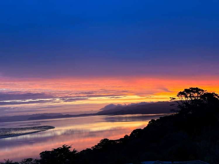 4A Godwit Place Lynfield_7