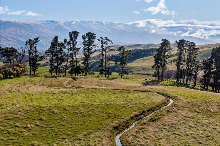 187 Hawksburn Road Nevis_17