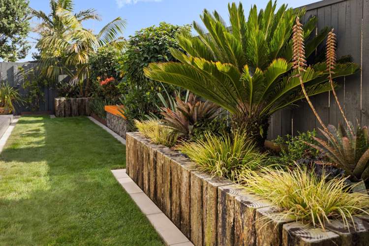 11 Sarcodia Place Papamoa_17