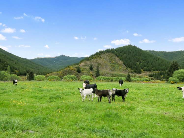 3093 Waihopai Valley Road Waihopai Valley_31