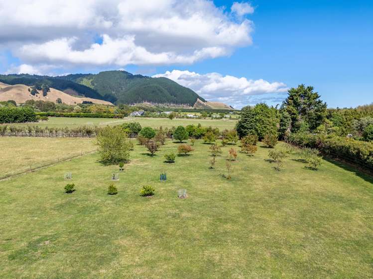 106 Settlement Road Te Horo_30