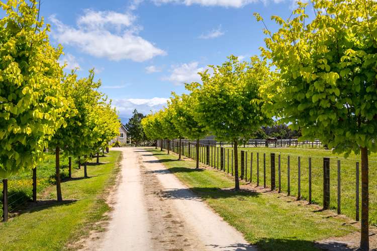 216a Ahiaruhe Road Carterton_5