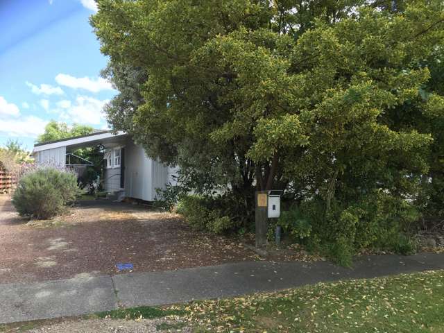 9 Chichester Street Te Hapara_1