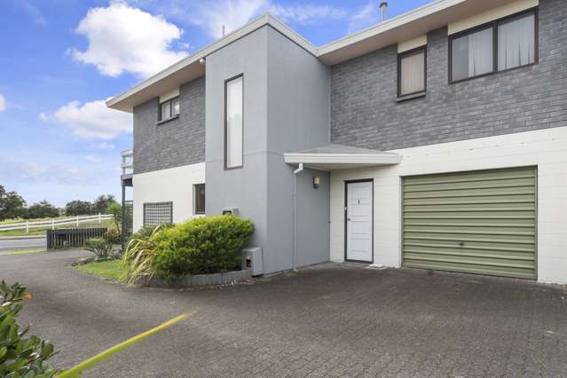 45a Matapihi Road Mount Maunganui_1