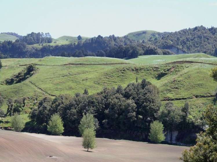 Otaraoa Road Tarata_19