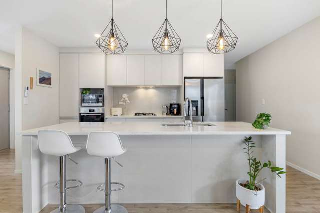 16 Gum Spear Road Takanini_1