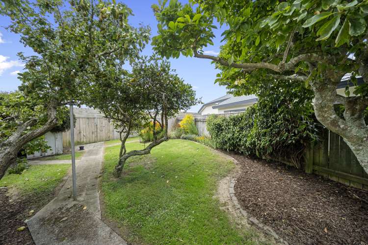 3c Boulcott Street Boulcott_13