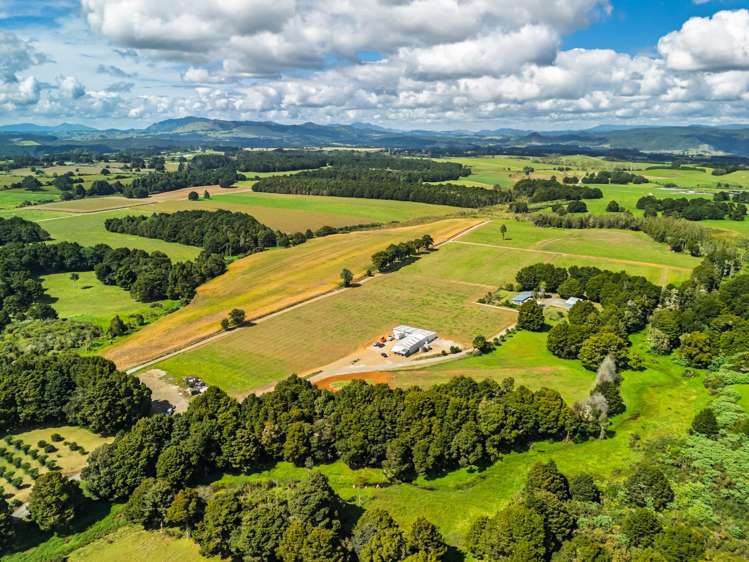 75 Thorpe Rd Kaikohe_7