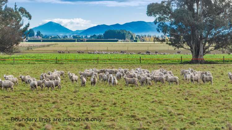 Essendon Road Darfield_3