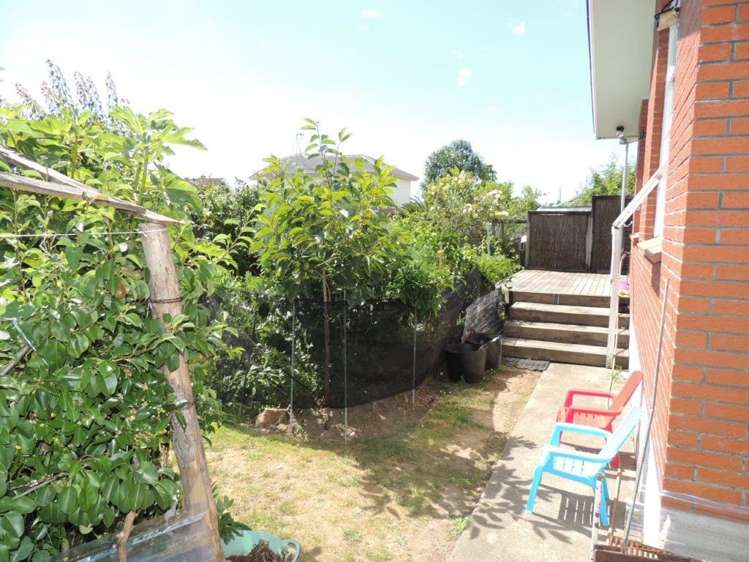 6a Park Street Morrinsville_12