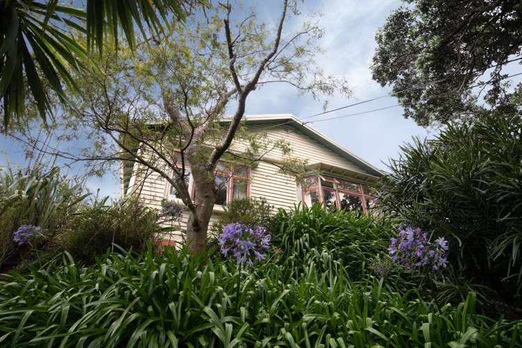 59 Durham Street Aro Valley_1