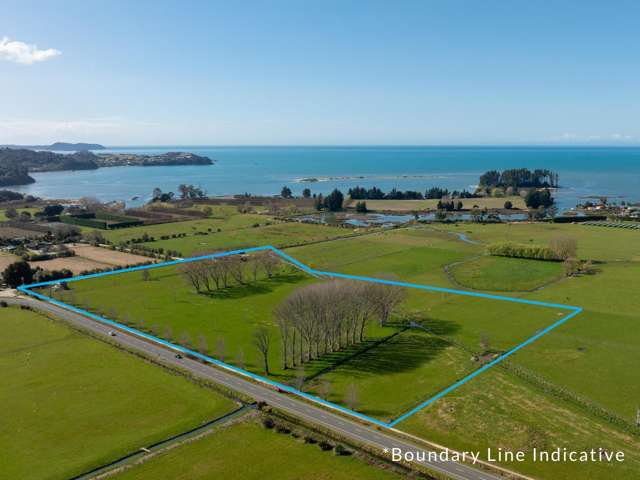 20 Goodall Road Riwaka_1