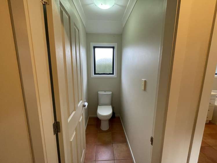 5 Catlins Glen Aotea_17