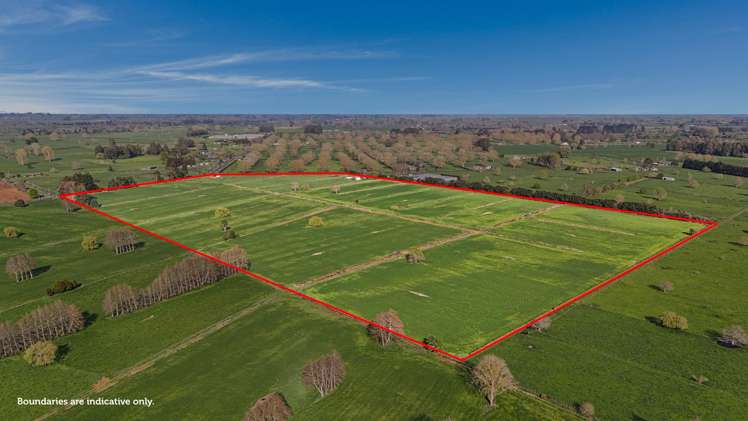 84 Goodwin Road Ohaupo_3