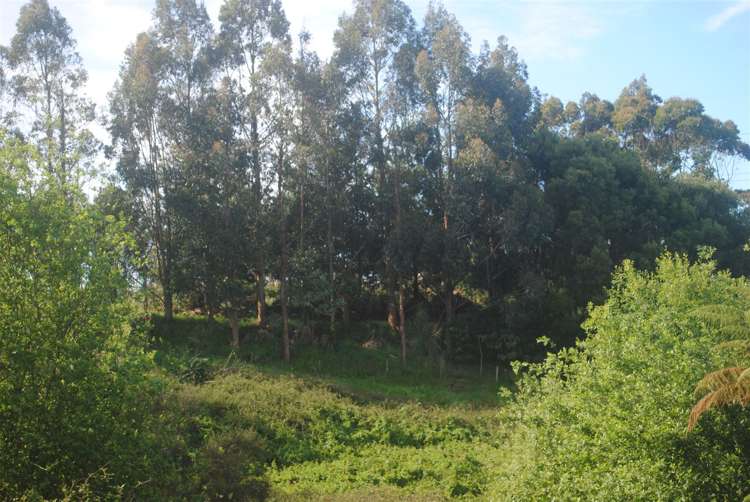 751b Runciman Road Runciman_10