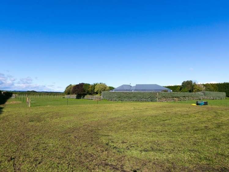 5881 Mountain Road Normanby_44