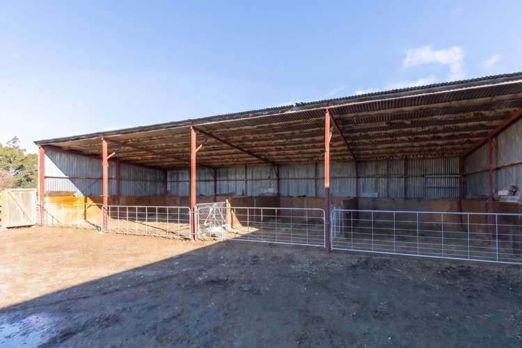 30 Dorset Road Carterton_14