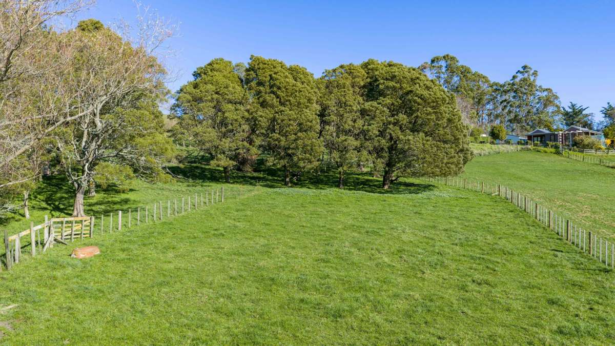12 Homewood Road_1