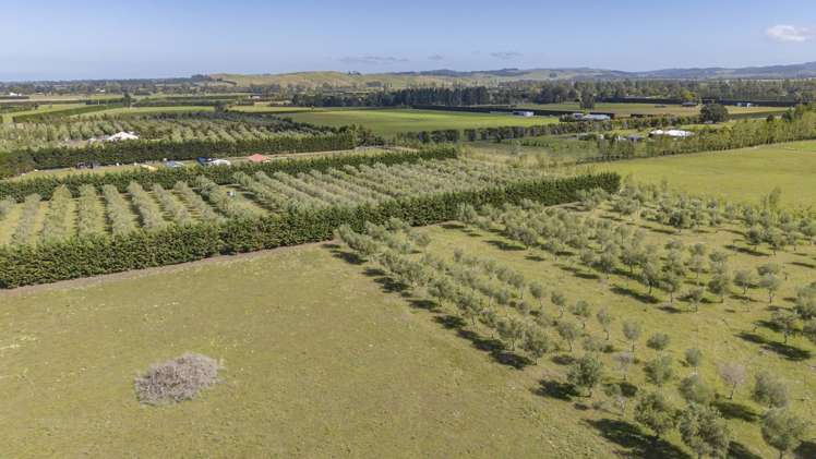 206 Mount Brown Road Broomfield_40